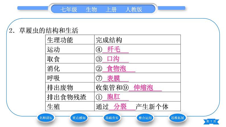 人教版七年级生物上第二单元生物体的结构层次第二章细胞怎样构成生物体第四节单细胞生物习题课件07