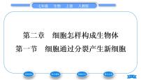 初中人教版 (新课标)第一节 细胞通过分裂产生新细胞习题课件ppt
