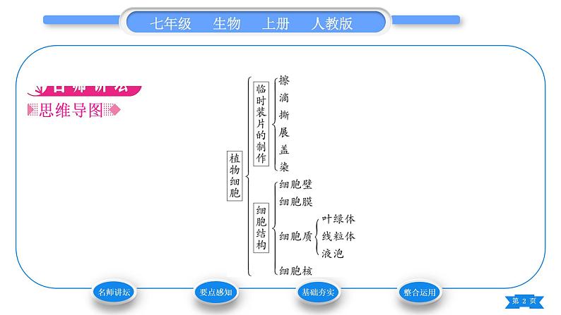 人教版七年级生物上第二单元生物体的结构层次第一章细胞是生命活动的基本单位第二节植物细胞习题课件第2页