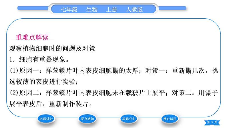 人教版七年级生物上第二单元生物体的结构层次第一章细胞是生命活动的基本单位第二节植物细胞习题课件第3页