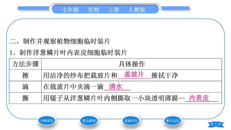 人教版七年级生物上第二单元生物体的结构层次第一章细胞是生命活动的基本单位第二节植物细胞习题课件第7页