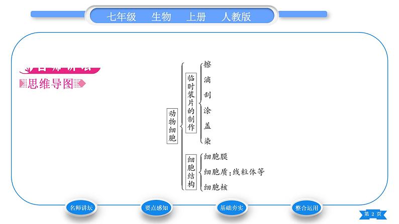 人教版七年级生物上第二单元生物体的结构层次第一章细胞是生命活动的基本单位第三节动物细胞习题课件第2页
