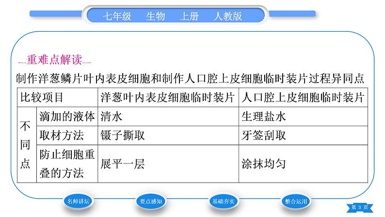 人教版七年级生物上第二单元生物体的结构层次第一章细胞是生命活动的基本单位第三节动物细胞习题课件第3页