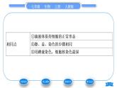 人教版七年级生物上第二单元生物体的结构层次第一章细胞是生命活动的基本单位第三节动物细胞习题课件