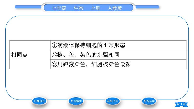 人教版七年级生物上第二单元生物体的结构层次第一章细胞是生命活动的基本单位第三节动物细胞习题课件第4页