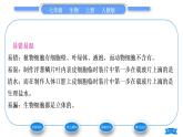 人教版七年级生物上第二单元生物体的结构层次第一章细胞是生命活动的基本单位第三节动物细胞习题课件