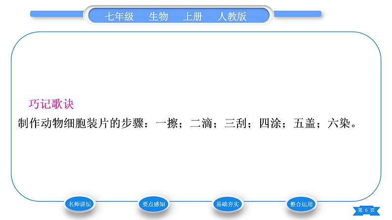 人教版七年级生物上第二单元生物体的结构层次第一章细胞是生命活动的基本单位第三节动物细胞习题课件第6页