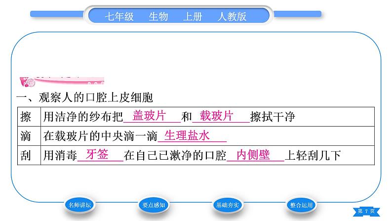 人教版七年级生物上第二单元生物体的结构层次第一章细胞是生命活动的基本单位第三节动物细胞习题课件第7页