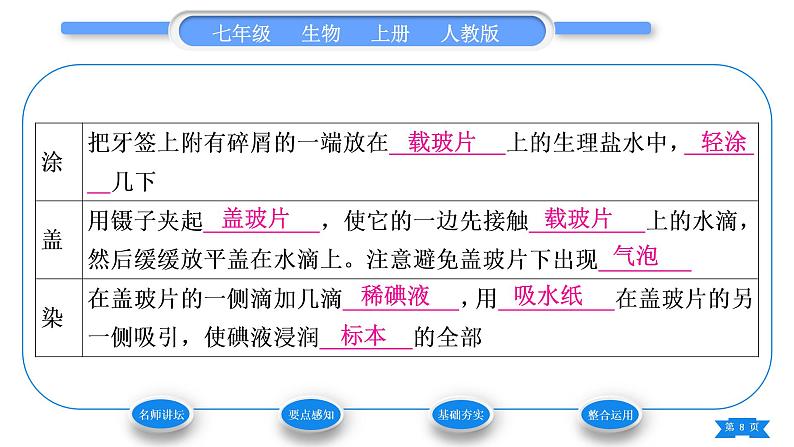 人教版七年级生物上第二单元生物体的结构层次第一章细胞是生命活动的基本单位第三节动物细胞习题课件第8页
