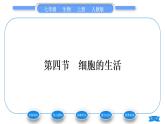 人教版七年级生物上第二单元生物体的结构层次第一章细胞是生命活动的基本单位第四节细胞的生活习题课件