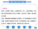 人教版七年级生物上第二单元生物体的结构层次第一章细胞是生命活动的基本单位第四节细胞的生活习题课件