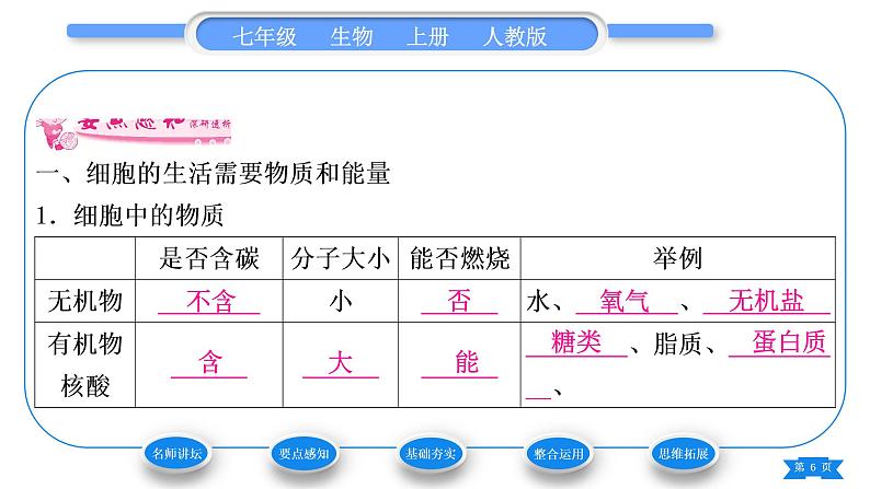 人教版七年级生物上第二单元生物体的结构层次第一章细胞是生命活动的基本单位第四节细胞的生活习题课件06