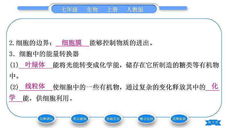 人教版七年级生物上第二单元生物体的结构层次第一章细胞是生命活动的基本单位第四节细胞的生活习题课件07