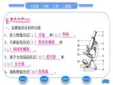 人教版七年级生物上第二单元生物体的结构层次第一章细胞是生命活动的基本单位第一节练习使用显微镜习题课件