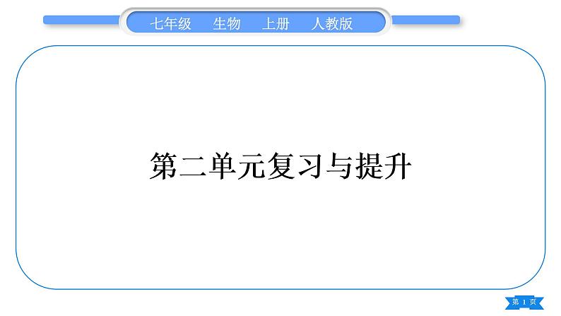 人教版七年级生物上第二单元生物体的结构层次复习与提升习题课件01