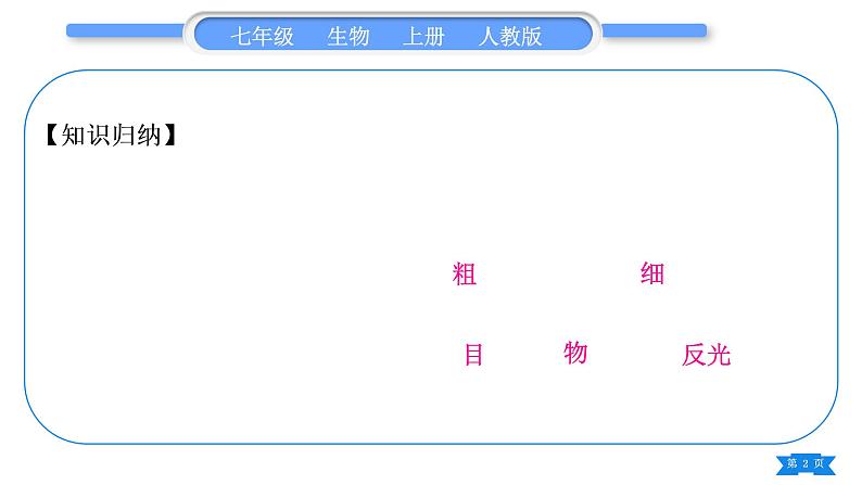 人教版七年级生物上第二单元生物体的结构层次复习与提升习题课件02