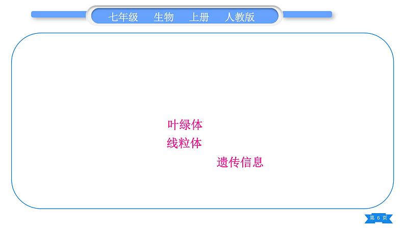 人教版七年级生物上第二单元生物体的结构层次复习与提升习题课件06