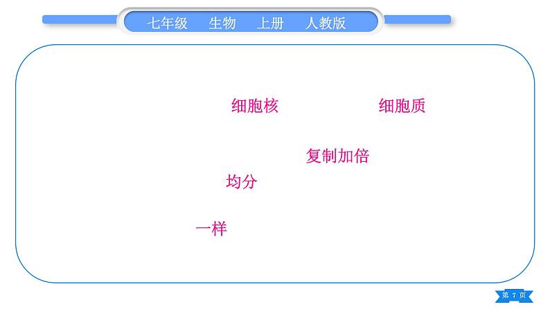 人教版七年级生物上第二单元生物体的结构层次复习与提升习题课件07
