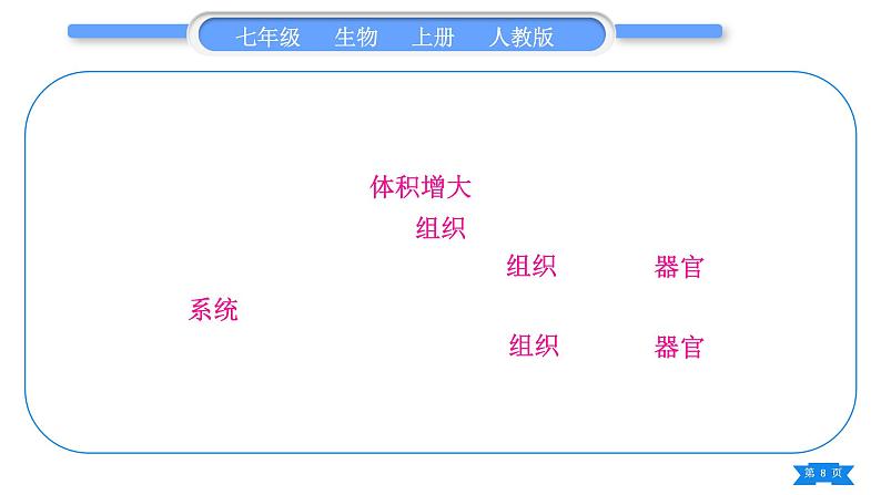 人教版七年级生物上第二单元生物体的结构层次复习与提升习题课件08