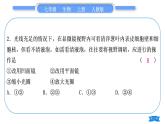 人教版七年級生物上第二單元生物體的結(jié)構(gòu)層次第一章細(xì)胞是生命活動的基本單位專題一顯微鏡與細(xì)胞習(xí)題課件