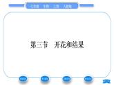 人教版七年级生物上第三单元生物圈中的绿色植物第二章被子植物的一生第三节开花和结果习题课件