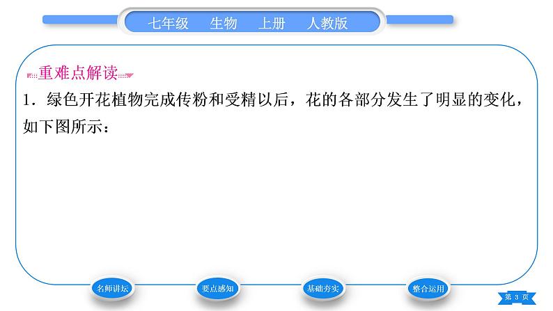 人教版七年级生物上第三单元生物圈中的绿色植物第二章被子植物的一生第三节开花和结果习题课件03