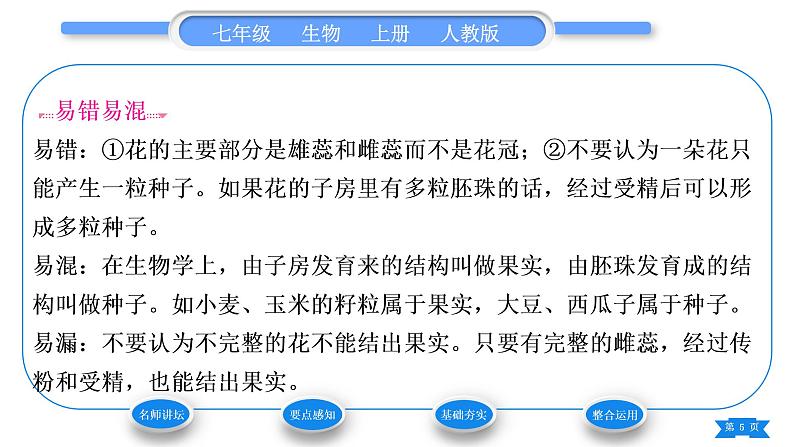 人教版七年级生物上第三单元生物圈中的绿色植物第二章被子植物的一生第三节开花和结果习题课件05