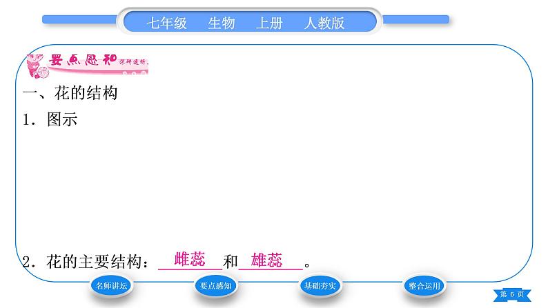 人教版七年级生物上第三单元生物圈中的绿色植物第二章被子植物的一生第三节开花和结果习题课件06