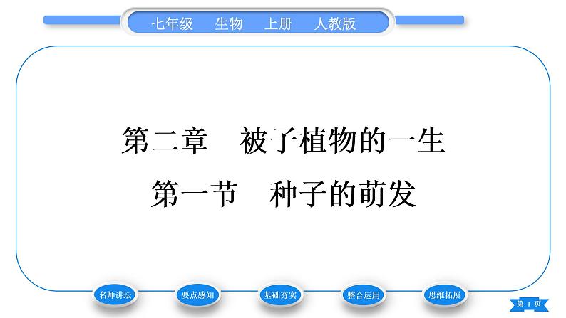 人教版七年级生物上第三单元生物圈中的绿色植物第二章被子植物的一生第一节种子的萌发习题课件01