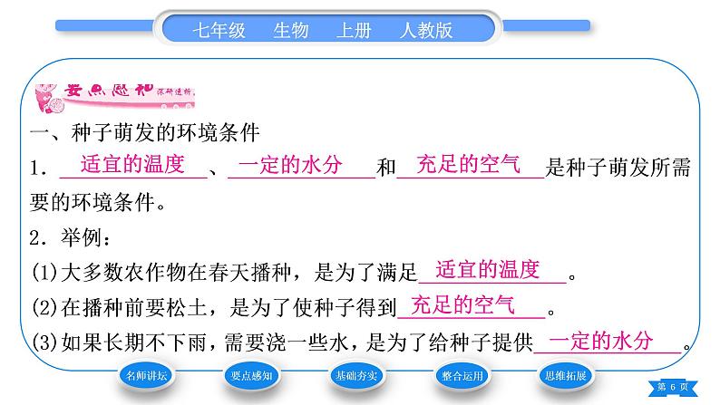 人教版七年级生物上第三单元生物圈中的绿色植物第二章被子植物的一生第一节种子的萌发习题课件06