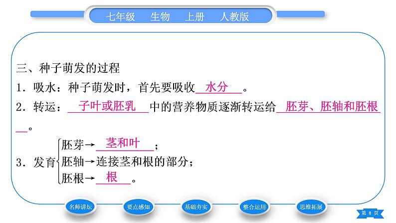 人教版七年级生物上第三单元生物圈中的绿色植物第二章被子植物的一生第一节种子的萌发习题课件08