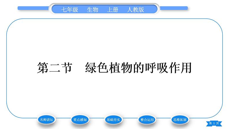 人教版七年级生物上第三单元生物圈中的绿色植物第五章绿色植物与生物圈中的碳—氧平衡第二节绿色植物的呼吸作用习题课件第1页