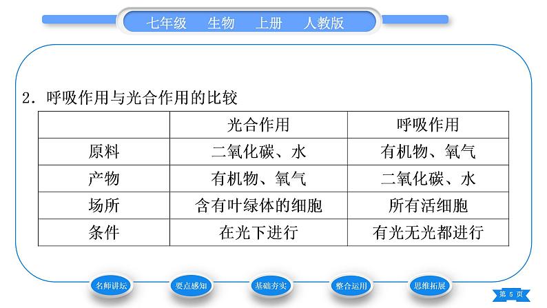 人教版七年级生物上第三单元生物圈中的绿色植物第五章绿色植物与生物圈中的碳—氧平衡第二节绿色植物的呼吸作用习题课件第5页