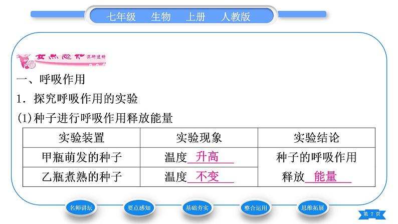 人教版七年级生物上第三单元生物圈中的绿色植物第五章绿色植物与生物圈中的碳—氧平衡第二节绿色植物的呼吸作用习题课件第7页