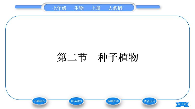 人教版七年级生物上第三单元生物圈中的绿色植物第一章生物圈中有哪些绿色植物第二节种子植物习题课件第1页