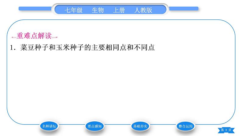 人教版七年级生物上第三单元生物圈中的绿色植物第一章生物圈中有哪些绿色植物第二节种子植物习题课件第3页