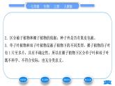 人教版七年级生物上第三单元生物圈中的绿色植物第一章生物圈中有哪些绿色植物第二节种子植物习题课件