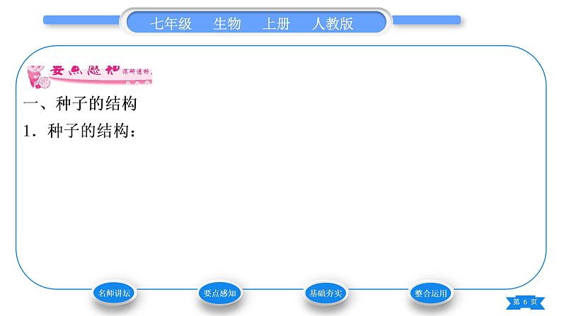 人教版七年级生物上第三单元生物圈中的绿色植物第一章生物圈中有哪些绿色植物第二节种子植物习题课件第6页