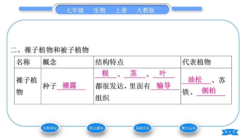 人教版七年级生物上第三单元生物圈中的绿色植物第一章生物圈中有哪些绿色植物第二节种子植物习题课件第8页