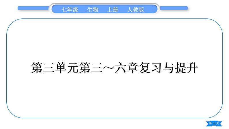 人教版七年级生物上第三单元生物圈中的绿色植物第三～六章复习与提升习题课件01