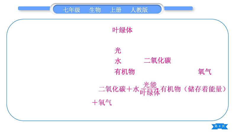 人教版七年级生物上第三单元生物圈中的绿色植物第三～六章复习与提升习题课件04