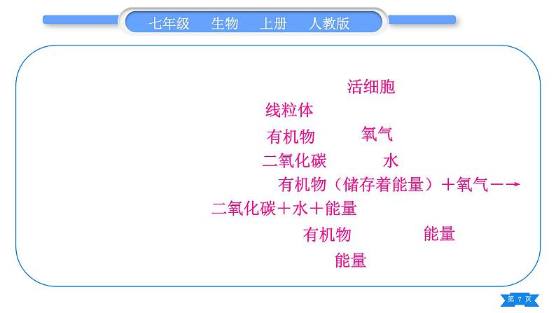 人教版七年级生物上第三单元生物圈中的绿色植物第三～六章复习与提升习题课件07