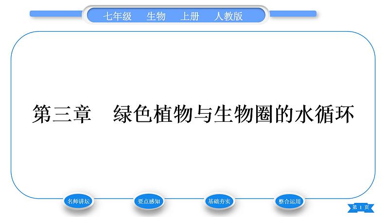 人教版七年级生物上第三单元生物圈中的绿色植物第三章绿色植物与生物圈的水循环习题课件01