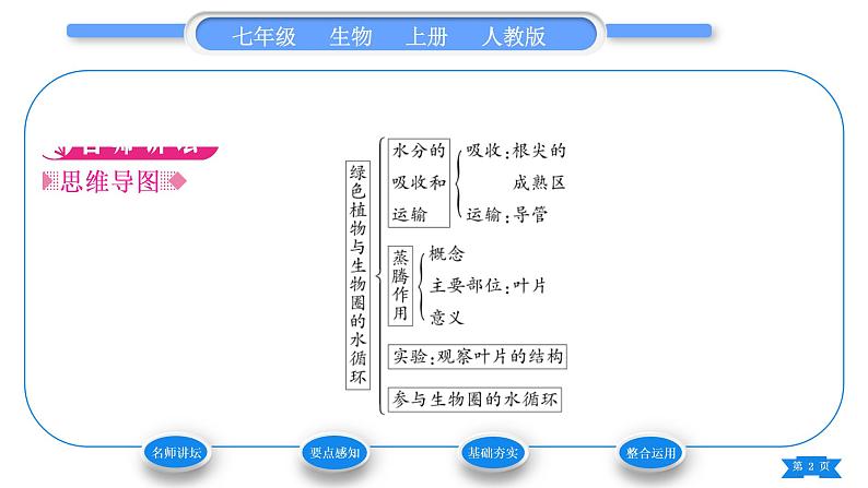 人教版七年级生物上第三单元生物圈中的绿色植物第三章绿色植物与生物圈的水循环习题课件02