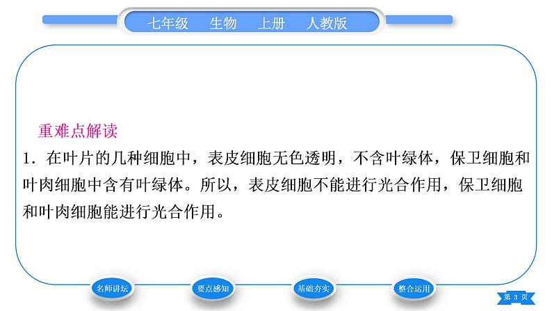 人教版七年级生物上第三单元生物圈中的绿色植物第三章绿色植物与生物圈的水循环习题课件03