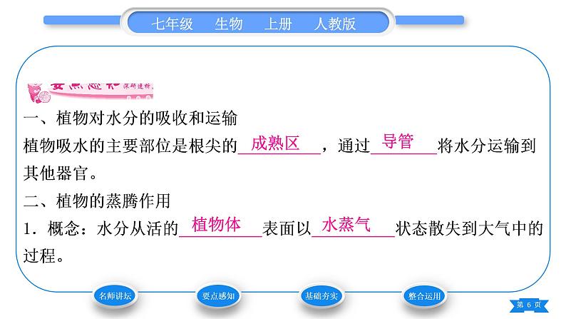 人教版七年级生物上第三单元生物圈中的绿色植物第三章绿色植物与生物圈的水循环习题课件06