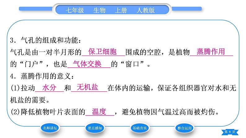 人教版七年级生物上第三单元生物圈中的绿色植物第三章绿色植物与生物圈的水循环习题课件08