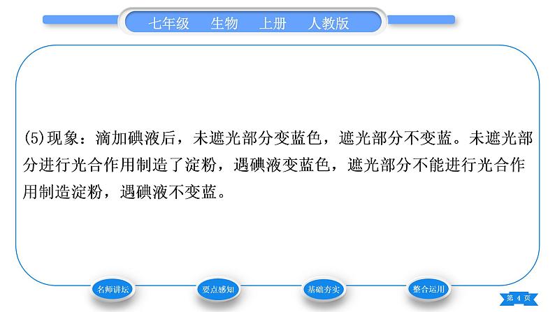 人教版七年级生物上第三单元生物圈中的绿色植物第四章绿色植物是生物圈中有机物的制造者习题课件04