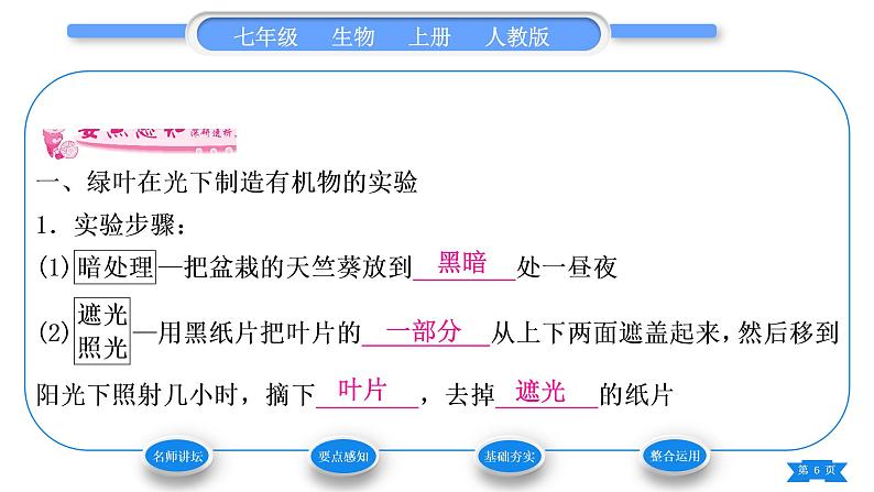 人教版七年级生物上第三单元生物圈中的绿色植物第四章绿色植物是生物圈中有机物的制造者习题课件06