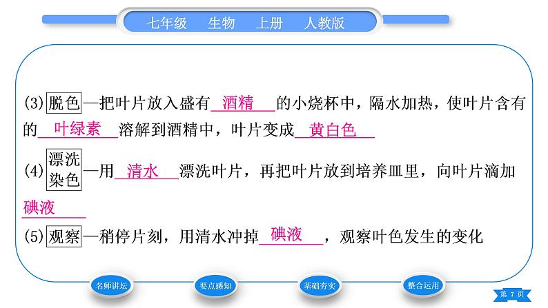 人教版七年级生物上第三单元生物圈中的绿色植物第四章绿色植物是生物圈中有机物的制造者习题课件07